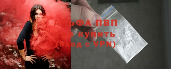 эйфоретик Арсеньев