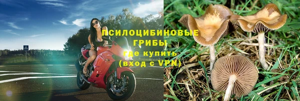 шишки Баксан
