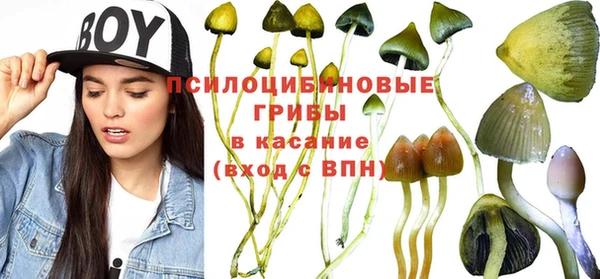 эйфоретик Арсеньев