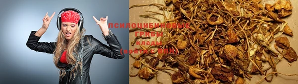мдпв Бердск