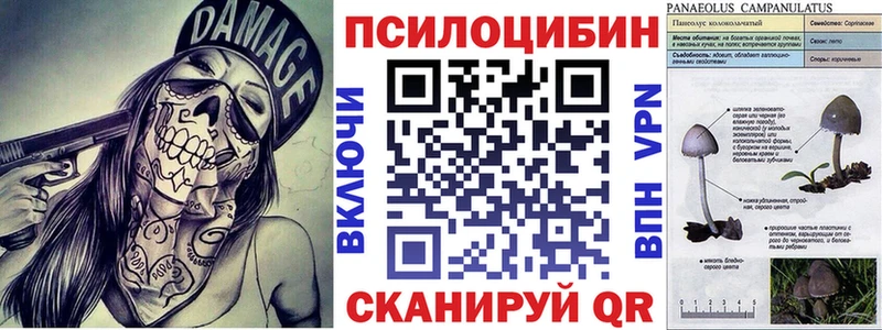 Галлюциногенные грибы Psilocybine cubensis  Боровск 